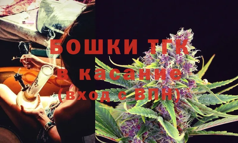 Каннабис OG Kush  Байкальск 